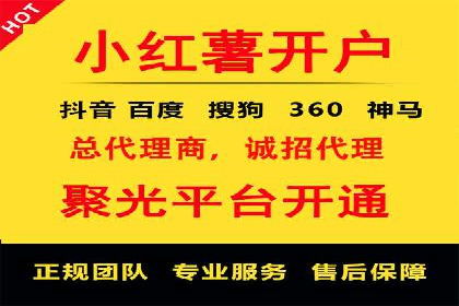 知名SEM公司案例分析：优化策略与成果